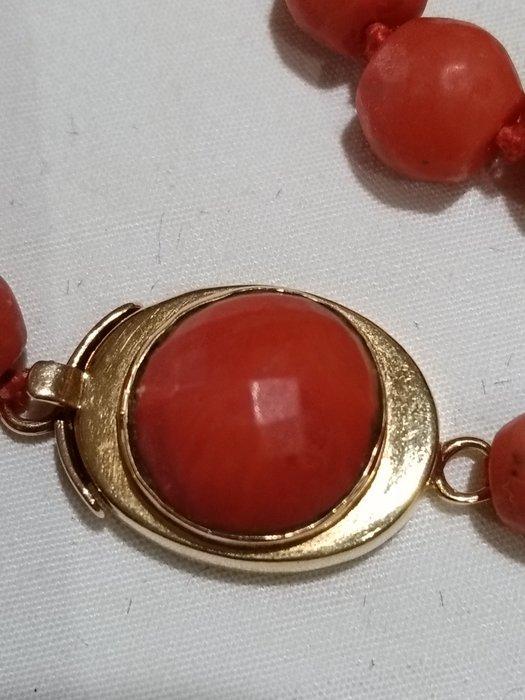 Halsketting - 18 karaat Geel goud Koraal - Bloedkoraal, Handtassen en Accessoires, Kettingen