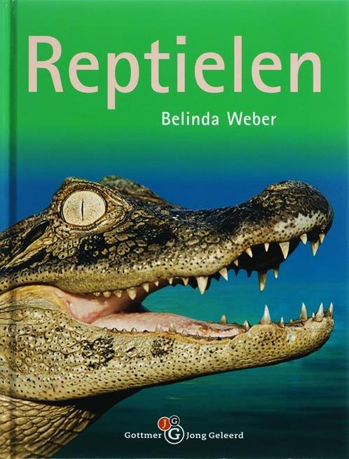 Reptielen / Gottmer jong geleerd 9789025741822, Boeken, Kinderboeken | Jeugd | 10 tot 12 jaar, Gelezen, Verzenden