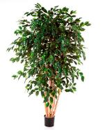 Kunstplant Ficus Multi 240 cm, Huis en Inrichting, Kamerplanten, Verzenden