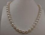 Halsketting Zilver, ALGT gecertificeerde Akoya parels -, Handtassen en Accessoires, Nieuw