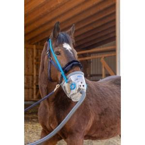 Masque d’inhalation avec accessoires pour chevaux de trait