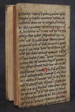 Protho Casvlano - De lingua quà maximum est morborum