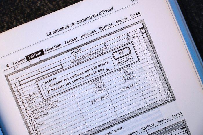 Apple Excel, la pratique – French Edition – InterEditions,, Games en Spelcomputers, Spelcomputers | Overige Accessoires