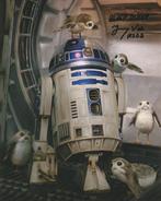 Star Wars - Signed by Jimmy Vee (R2-D2), Nieuw