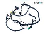 Kabelboom Suzuki VL 800 2001-2004 Intruder Volusia (VL800), Motoren, Verzenden, Gebruikt