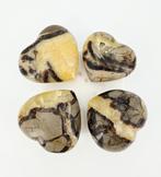 Septarie Hart (Drakenei) zie filmpje, Ophalen of Verzenden, Nieuw