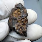Stuk pallasiet Niet-geclassificeerd zichtbaar olivijn, Verzamelen, Mineralen en Fossielen
