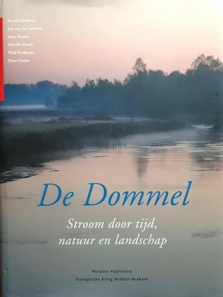 De Dommel 9789073187740 Ronald Buskens, Boeken, Hobby en Vrije tijd, Gelezen, Verzenden