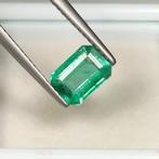 Sans Prix de Réserve Vert Émeraude - 1.05 ct - International, Nieuw