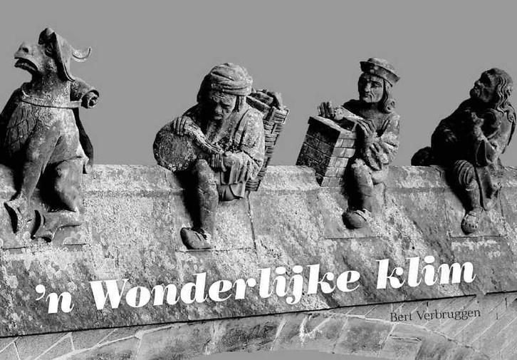 n Wonderlijke klim 9789402232561 Bert Verbruggen, Boeken, Kunst en Cultuur | Fotografie en Design, Zo goed als nieuw, Verzenden