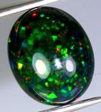 Opale noire authentique avec des éclairs multicolores