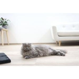 Arbre à chat 4-corner, noir, 48 x 48 x 80 cm, Animaux & Accessoires, Accessoires pour chats