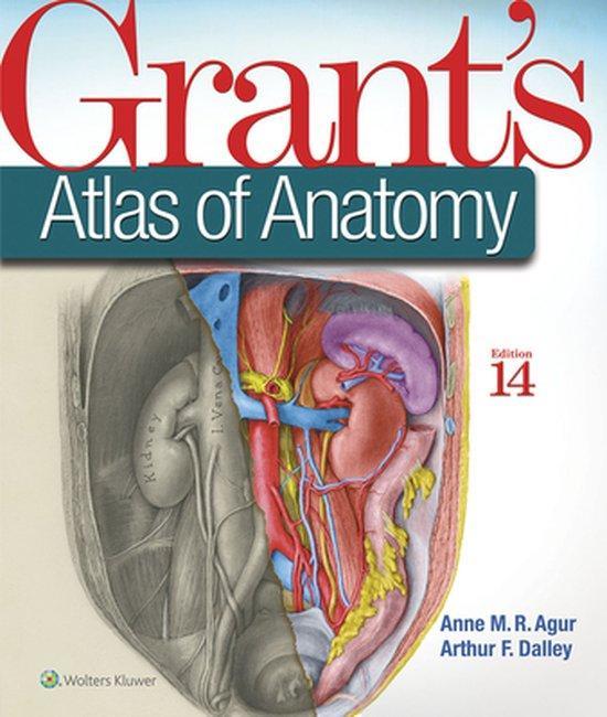 Grants Atlas of Anatomy 9781496331472 Anne M. R. Agur, Boeken, Taal | Engels, Gelezen, Verzenden