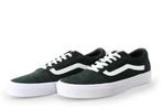 Vans Sneakers in maat 42 Groen | 5% extra korting, Kleding | Heren, Schoenen, Overige kleuren, Verzenden, Zo goed als nieuw, Sneakers