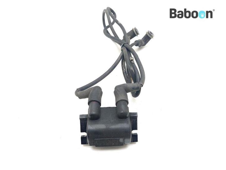 Bobine BMW R 1150 GS (R1150GS), Motoren, Onderdelen | BMW, Gebruikt, Verzenden