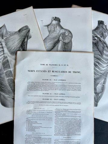 Lesmateriaal (3) - Nicolas-Henri Jacob & Jean Baptiste Marc