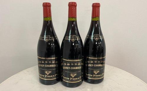 2019 Domaine Camus - Gevrey Chambertin - 3 Magnums (1.5L), Verzamelen, Wijnen