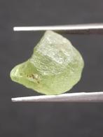 Natural Green Peridot - 10.634 ct - rough gemstone - for fac, Verzenden