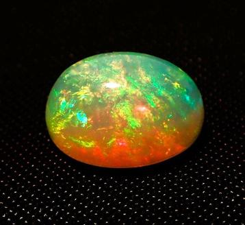 Meerkleurig Opaal - 5.50 ct - Antwerp Laboratory for beschikbaar voor biedingen