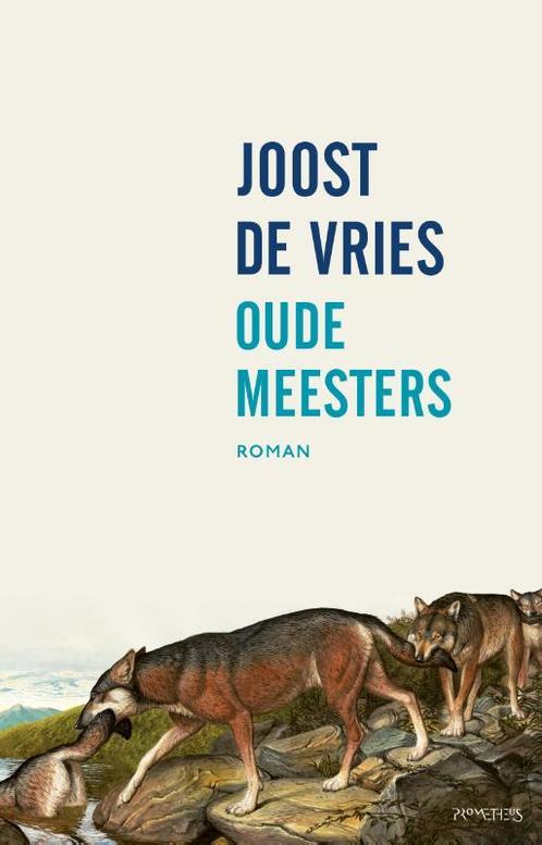 Oude meesters 9789044634303 Joost de Vries, Boeken, Romans, Gelezen, Verzenden