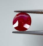 Robijn - 3.35 ct - Lotus Gemology - Geen warmte - Intens, Nieuw