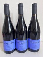 2023 Sylvain Pataille - Bourgogne - 3 Bouteilles (0,75 L), Nieuw