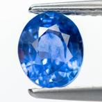 Zonder Minimumprijs Saffier  - 1.26 ct - Antwerp Laboratory, Handtassen en Accessoires, Edelstenen, Nieuw