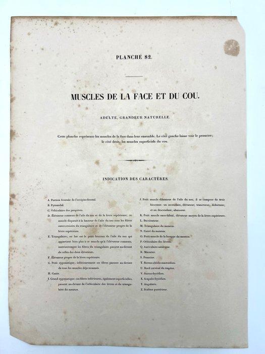 Lesmateriaal - Nicolas-Henri Jacob & Jean Baptiste Marc, Antiek en Kunst, Antiek | Wandborden en Tegels