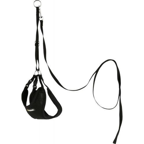 Harnais pour chiots avec laisse, noir, 24 - 44 cm - kerbl, Dieren en Toebehoren, Honden-accessoires