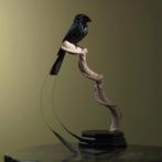 Drongo Taxidermie Opgezette Dieren By Max, Nieuw, Opgezet dier, Vogel, Ophalen of Verzenden