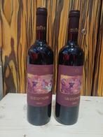 2020 Tua Rita Giusto di Notri - Toscane IGT - 2 Flessen, Nieuw