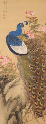 Peinture magnifique de paon, signée - incluant un tomobako