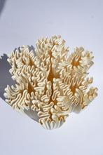 Michael Jasinski - Lampe de table - SX2 - Biopolymère