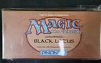 Wizards of The Coast - 1 Box - Magic: The Gathering, Nieuw