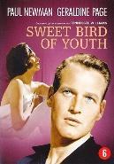 Sweet bird of youth op DVD, CD & DVD, DVD | Drame, Verzenden
