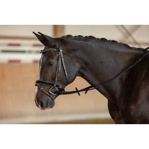 Rênes taille poney, Animaux & Accessoires, Chevaux & Poneys | Autres trucs de cheval