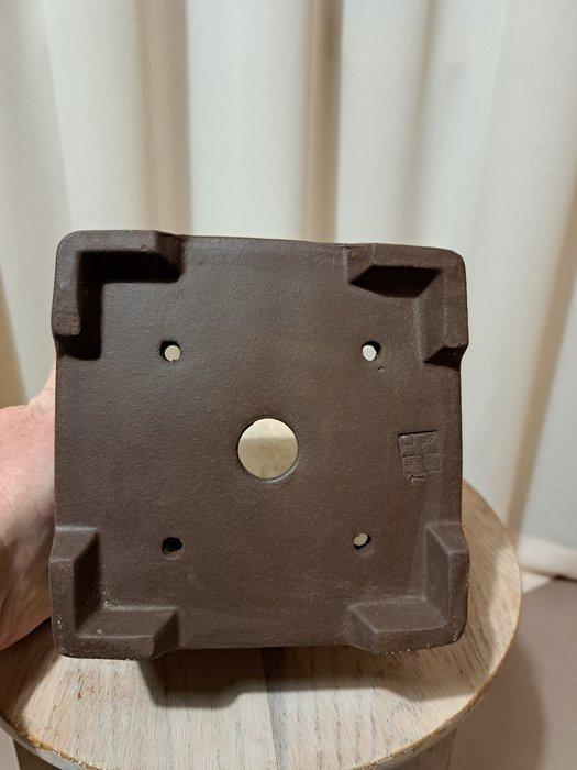 Bonsai schaal - 15x15x11,5cm - ongeglazuurd - Hoogte (boom):, Antiek en Kunst, Curiosa en Brocante