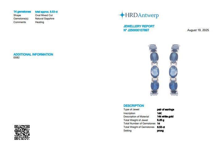 Hoepel oorbellen - 14 karaat Witgoud - 8.53ct. tw. Saffier -, Handtassen en Accessoires, Antieke sieraden