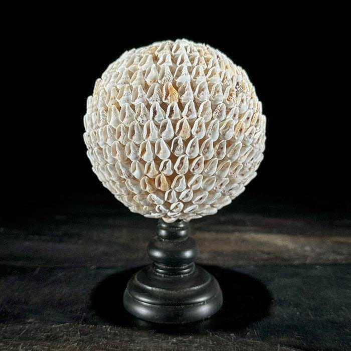 Decoratief ornament - NO RESERVE PRICE - Stunning pair of, Antiek en Kunst, Kunst | Designobjecten