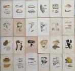 Claude Casimir Gillet (1806-1896) - Lot. of 24 tavole Les