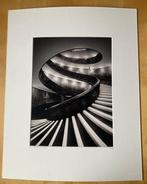 Juan Pablo de Miguel - Vatican Stairs