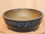 Bonsai schaal - 15,5 cm x 5cm - blauw geglazuurd - Hoogte