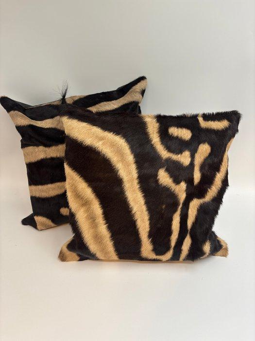 Zèbre Peau d’étude - Equus quagga - 40 cm - 40 cm - 1 cm -, Antiek en Kunst, Curiosa en Brocante