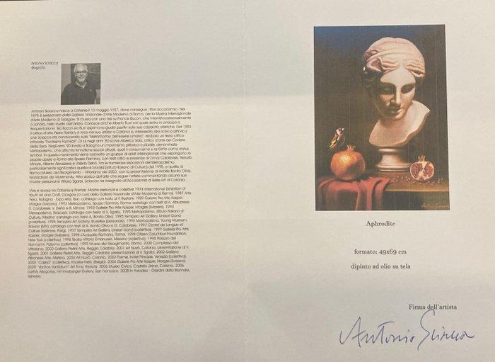 Antonio Sciacca (1957) - Melagrana e Silenzio Classico, Antiek en Kunst, Kunst | Schilderijen | Klassiek