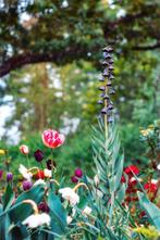 Inna Etuvgi - The Very Peak of Spring, Antiek en Kunst