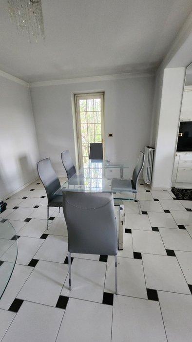 cattelan - cattelan - Chaise de salle à manger (6) - maya, Antiek en Kunst, Kunst | Designobjecten