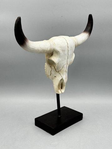 buffel schedel - Figure - Résine, plastique