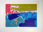 Alfred Klinkan (1950-1994) - Horizontschwimmer (uit de serie, Antiek en Kunst