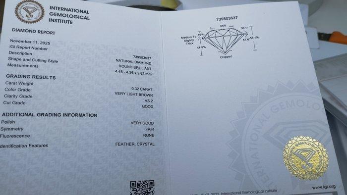 Sans Prix de Réserve - 1 pcs Diamant (Couleur naturelle) -, Handtassen en Accessoires, Edelstenen