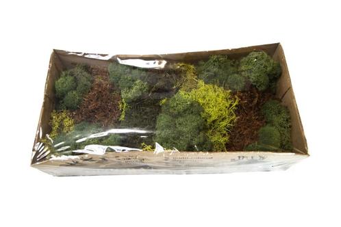 Mos mix – mosgroen grotere verpakking voor bloemschikken en, Hobby en Vrije tijd, Knutselen, Nieuw